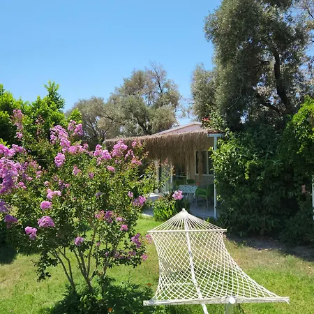 Datcamania Ferienhaus Mesudiye (Datca)