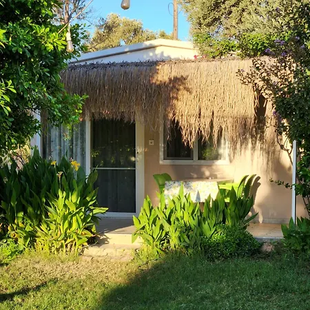 Datcamania Vakantiehuis *